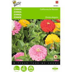 2 stuks - Zinnia elegans Californische Reuzen Gemengd