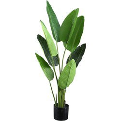 PTMD Kunstplant Strelitzia - 77x56x117 cm - Polyester - Groen