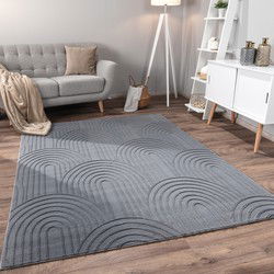 Laagpolig Vloerkleed Lely - Japandi - Antraciet - 240x340 cm