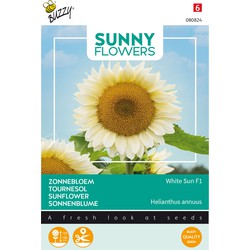 Sunny Flowers, Zonnebloem White Sun of Day