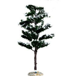 Conifer tree, medium