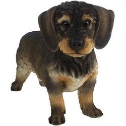 Tuinbeeld Ruwharige Teckel - hond - bruin - 29 cm - polystone - Beeldjes
