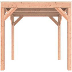 Douglas Overkapping 200x250