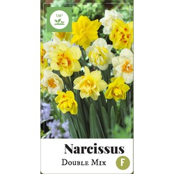 2 stuks - Narcissus Dubbel mix 35 bollen