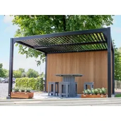 Aluminium pergola met lamellen zwart, 300 x 300 cm