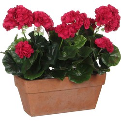 Mica Decorations geranium donkerroze in balkonbak terra - 29x13x40