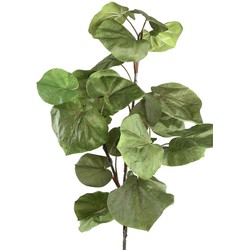 PTMD Leaves Plant Zee Grape Blad Kunsttak - 76 x 49 x 120 cm - Groen