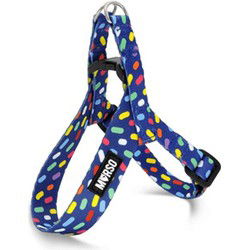 MORSO MINI HONDENTUIG VERSTELBAAR GERECYCLED COLOR INVADERS PAARS 29-38X2,5 CM