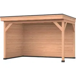 Douglas DIY overkapping, 400 x 250, met achterwand en zijwand, Westwood