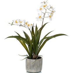 Witte orchidee kunstplant in keramische pot 45 cm - Kunstplanten