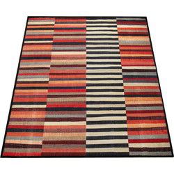 Binnen en Buitenkleed Artalli - Multi - 240x340 cm
