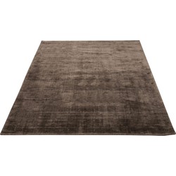 J-line - Tapijt Viscose Taupe 200x300cm - 200x300x2cm