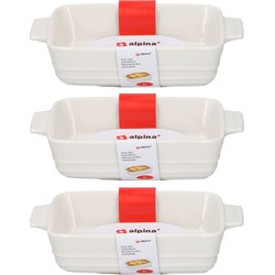 3x Ovenschalen rechthoekig keramiek 25 cm - Ovenschalen