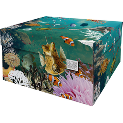 Dutch Design Brand Opbergdoos met Deksel - Doos in Karton - Geschenkdoos - 39x31x21cm - Coral Reef - 1 Stuk