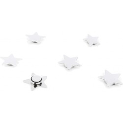 Trendform Magneetster - zilver - set van 6 stuks