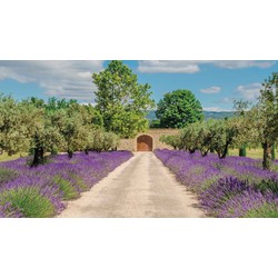 Lavendel deur 130x70cm Tuinschilderij