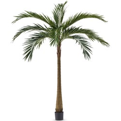 Palm XL Deluxe 270 cm