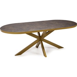 Stalux Plat ovale eettafel 'Noud' 210 x 100, kleur goud / lederlook bruin