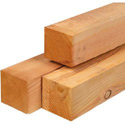 Paal douglas 12,0x12,0x500 cm Tuindeco