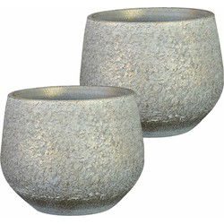Ter Steege Plantenpot - 2x - keramiek - metallic zilvergrijs - Plantenpotten