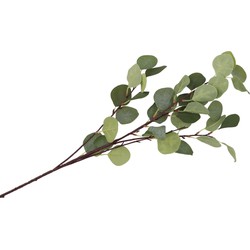 DK Design Kunstbloem Eucalyptus tak Real Touch - 90 cm - groen - Kunstbloemen