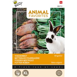 Animal favorites voederbieten brigadier - konijnen klein vee tuinzaden - Tuinplus