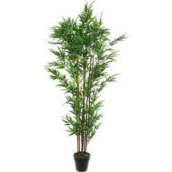 Mica Decorations Kunstplant - bamboe - struik - 180 x 75 cm - Kunstplanten