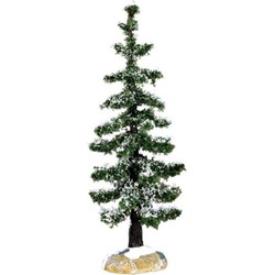 Blue spruce tree, small