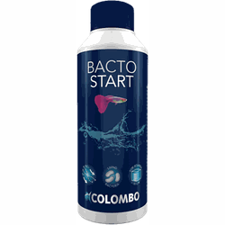 Colombo bacto start 250 ml