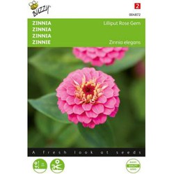 Zaden zinnia lilliput rose gem 1 gram