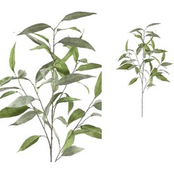 PTMD Leaves Plant Eucalyptus Kunsttak - 53 x 38 x 95 cm - Groen/Grijs
