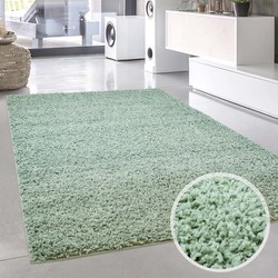 Shaggy Hoogpolig Tapijtenloods Vloerkleed Effen Pastel Groen - 60x90 CM