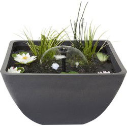 Mini Pond Square 55 x 55 cm