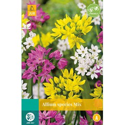 Allium Species Mix, 20 bloembollen