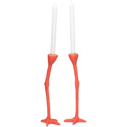 Long Legs - Orange 