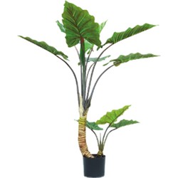 Künstliche Pflanze Alocasia dicker Stamm 120 cm - Buitengewoon de Boet