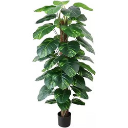 Dieffenbachia 152 cm kunstplant - Buitengewoon de Boet