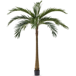 Hoyz Greenery - Palm XL Deluxe 270 cm