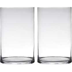 Set van 2x stuks transparante home-basics cylinder vorm vaas/vazen van glas 40 x 19 cm - Vazen