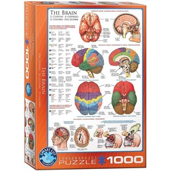 Eurographics Eurographics puzzel The Brain - 1000 stukjes