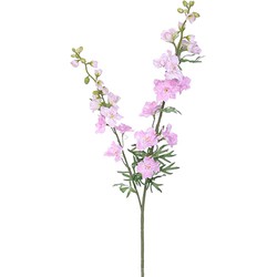 Delphinium tak l.pink - Buitengewoon de Boet