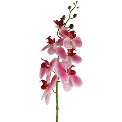 Phalaenopsis kunststof 8x8x83 cm roze