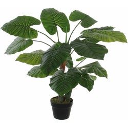 Groene kunstplant Colocasia Taro succulent plant in pot - Kunstplanten