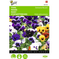 2 stuks - Viola wittrockiana Zwitserse Reuzen Bloemistenmengsel