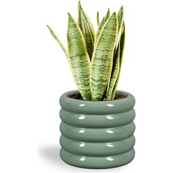 Bloempot voor Binnen - Keramiek Glazed - Groen - Ø 17,5 cm