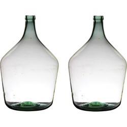 Flesvaas XL - 2x stuks - glas - B29 x H46 cm - Bloemen/takken vaas - Vazen