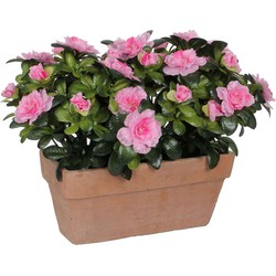 Mica Decorations azalea roze in balkonbak slate terra - 29x13x27