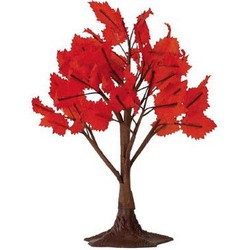 Maple tree medium