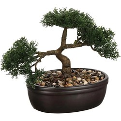 Atmosphera Kunstplant - Bonsai boom- in keramische pot - 23 cm - Kunstplanten