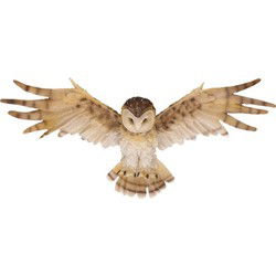 Dierenbeeld kerkuil - 55 cm - decoratie wandhanger groot - polystone - Beeldjes